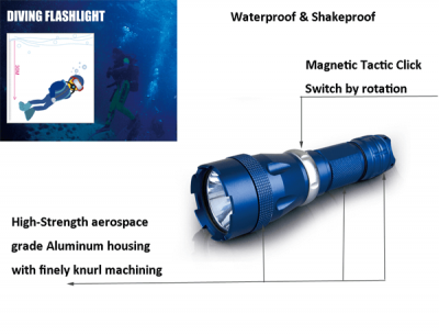 Dive Flashlights