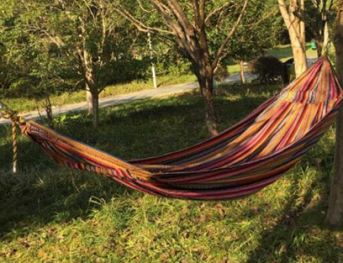 Outdoor Hammocks